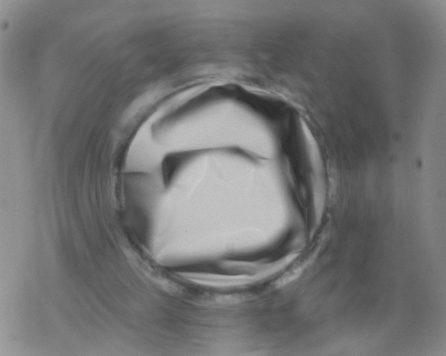 X0000073910149200609082221