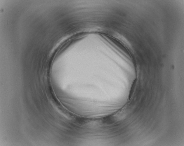 X0000073910155200609082221