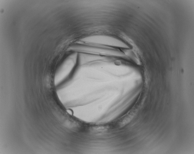X0000073910161200609082221