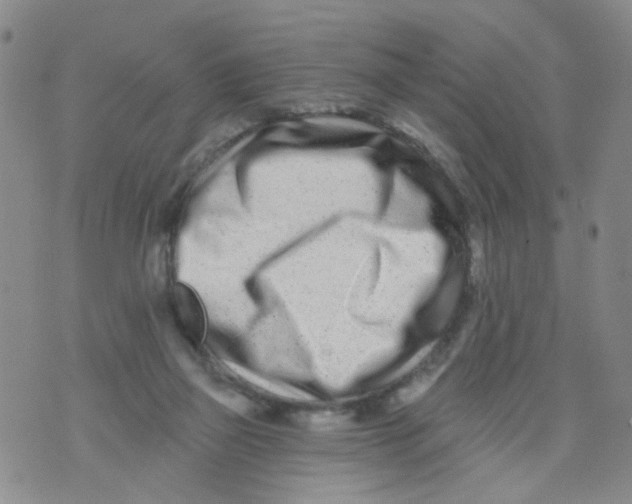 X0000073910165200609082222