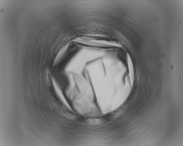 X0000073910169200609082222