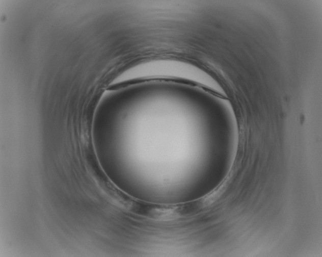 X0000073910170200609082222