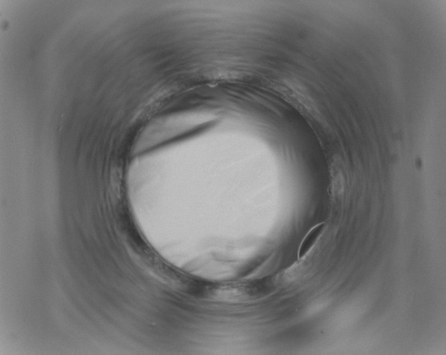 X0000073910171200609082222