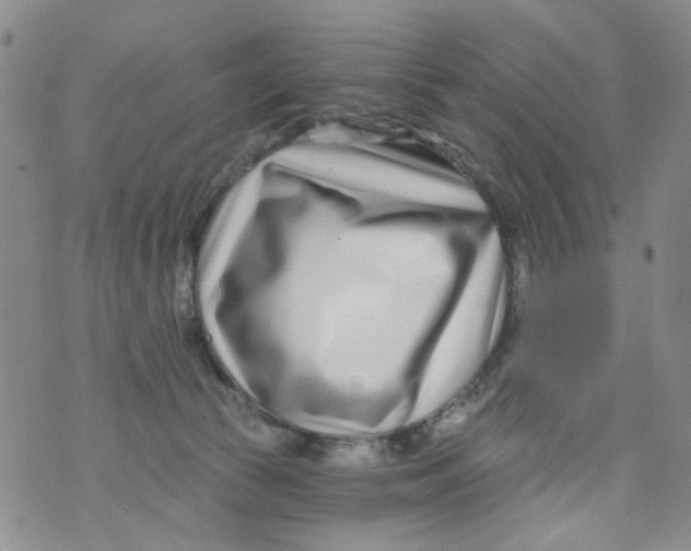 X0000073910177200609082222