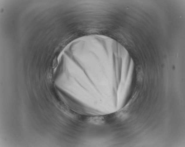 X0000073910179200609082222