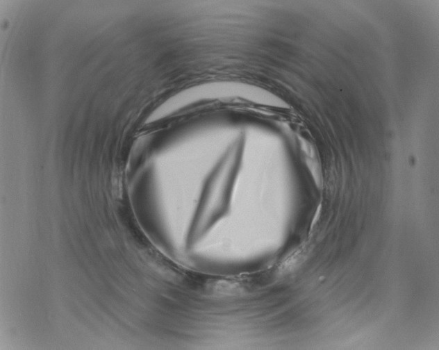 X0000073910180200609082222