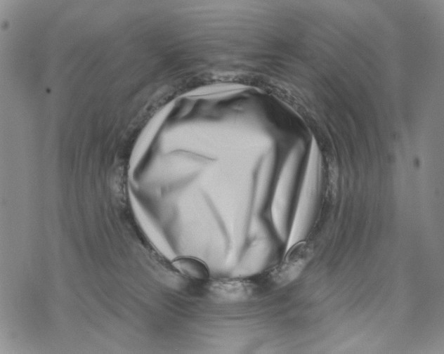 X0000073910181200609082222