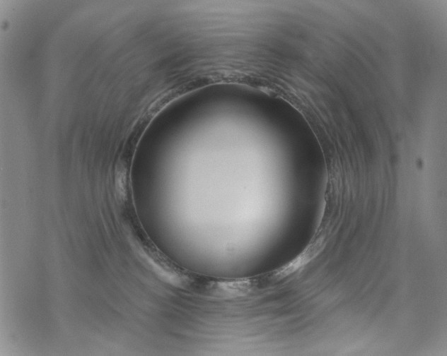 X0000073910188200609082222