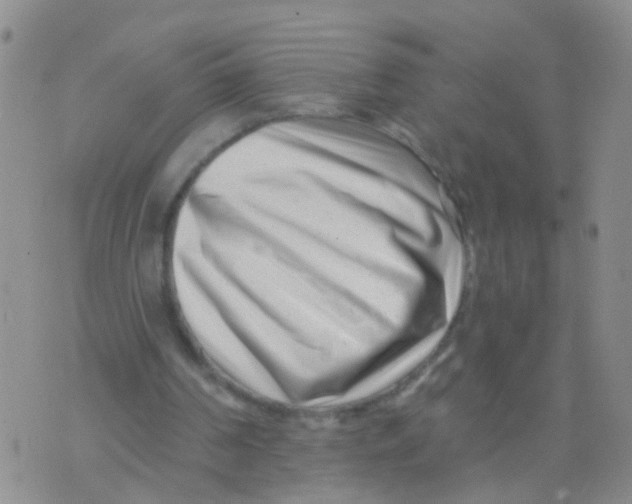 X0000073910194200609082221