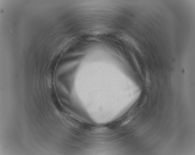 X0000073910210200609082221