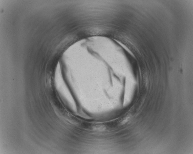 X0000073910214200609082221