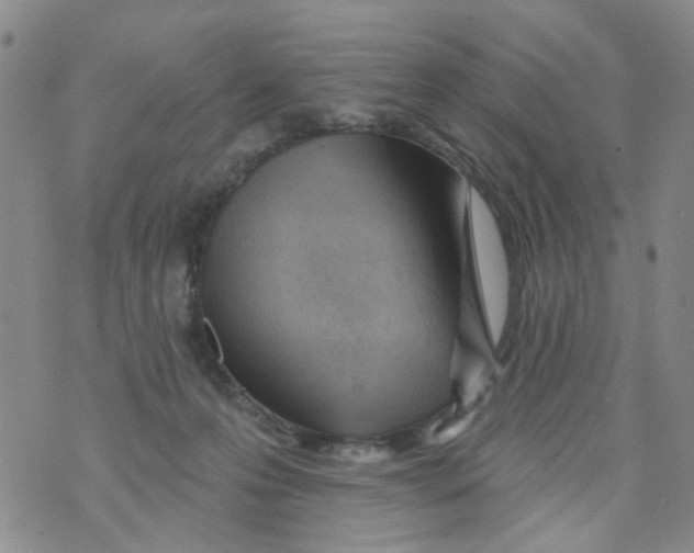 X0000073910223200609082221