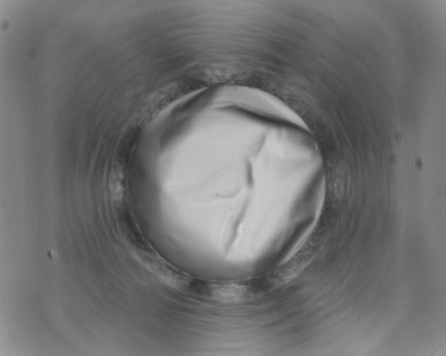 X0000073910226200609082221
