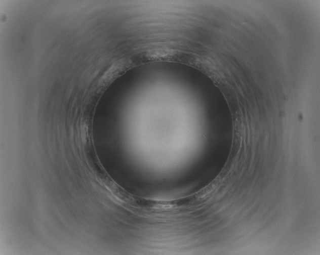 X0000073910227200609082221
