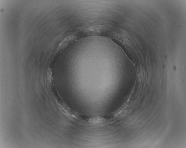 X0000073910231200609082221