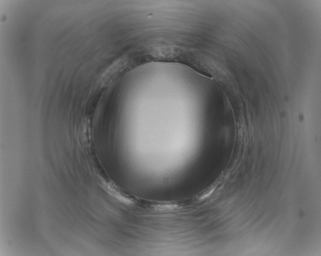 X0000073910233200609082221