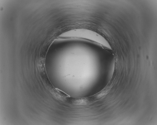 X0000073910237200609082220