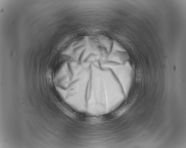 X0000073910238200609082220