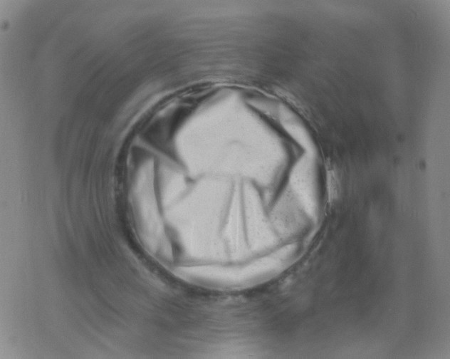 X0000073910243200609082220