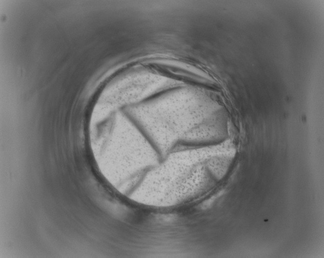 X0000073910247200609082220