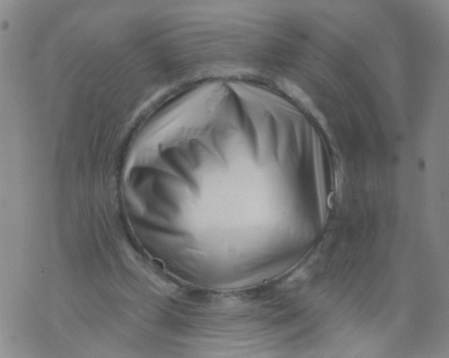 X0000073910249200609082220