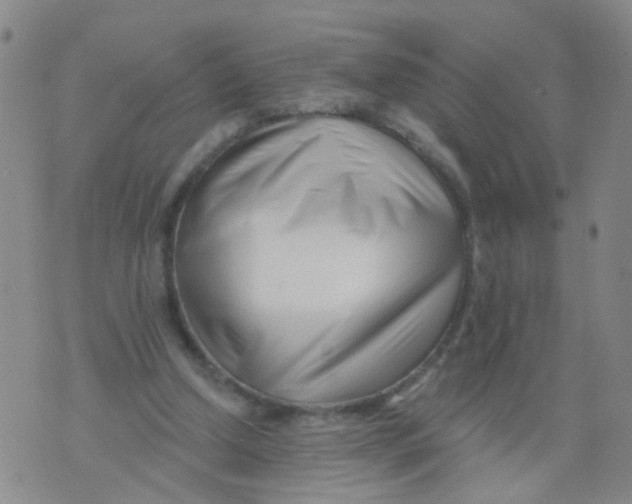 X0000073910250200609082220