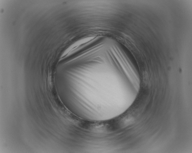 X0000073910267200609082220