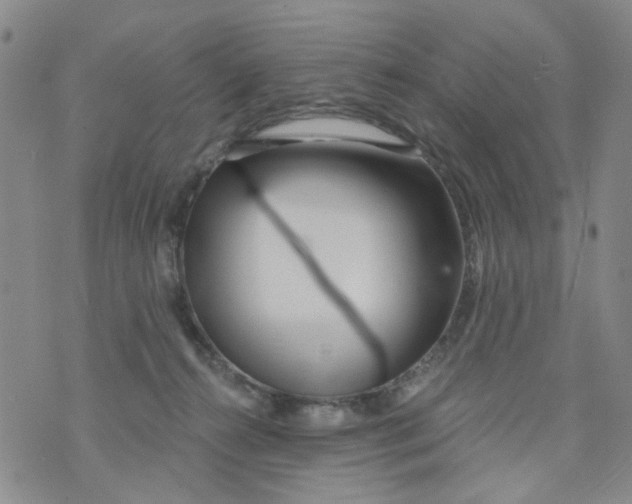 X0000073910272200609082220
