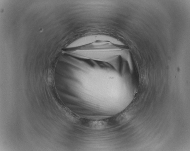 X0000073910277200609082220