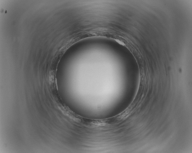 X0000073910284200609082220