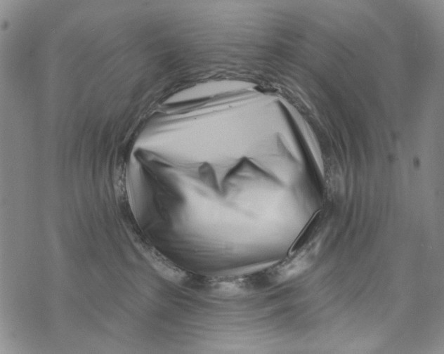 X0000073910285200609082220
