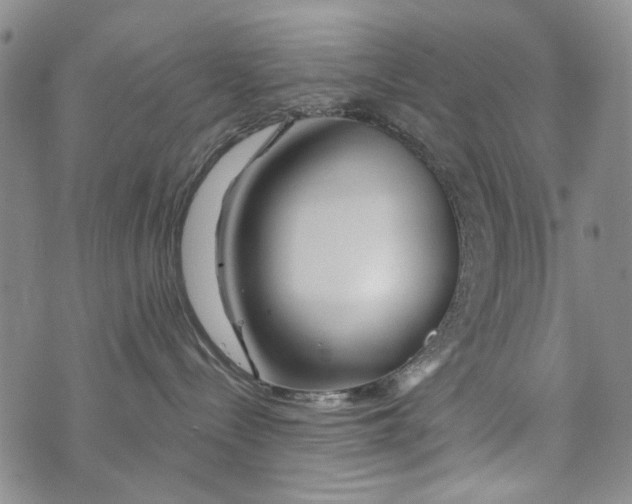 X0000073910288200609082220