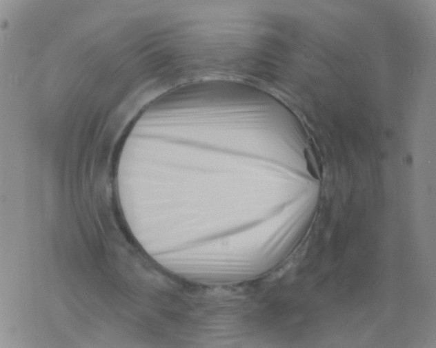 X0000073910290200609082220