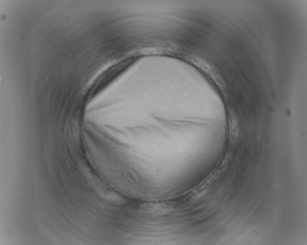 X0000073910297200609082220