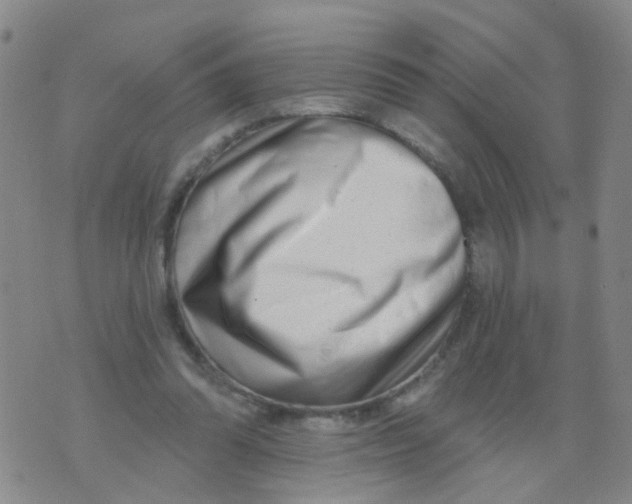 X0000073910302200609082219