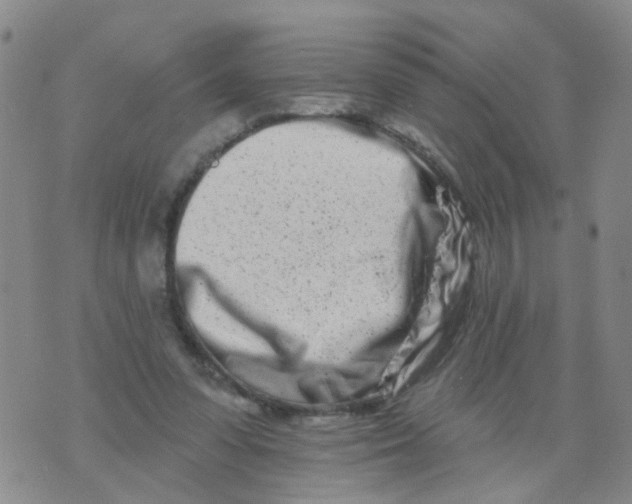 X0000073910303200609082219