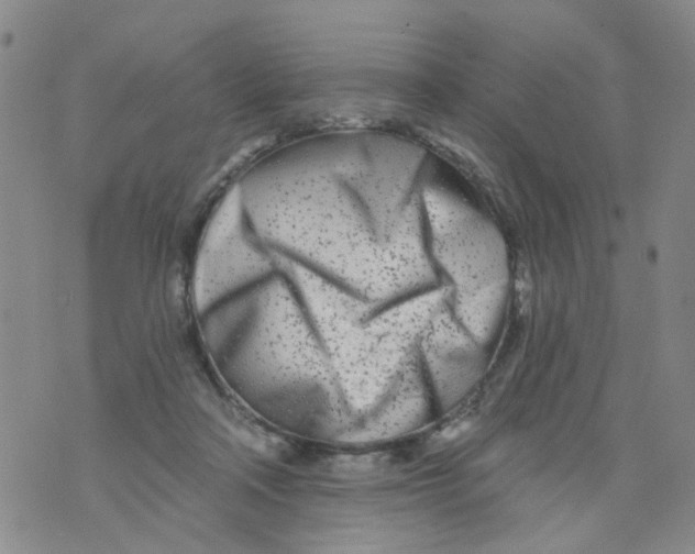 X0000073910314200609082219