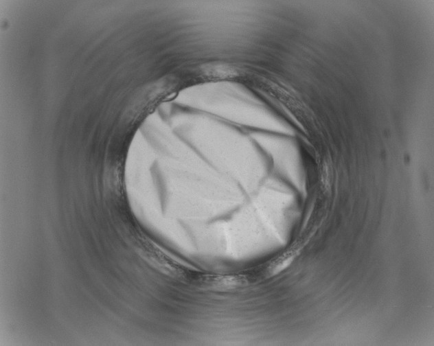 X0000073910330200609082219