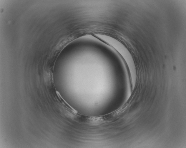 X0000073910333200609082219
