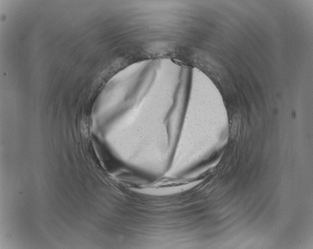 X0000073910335200609082219