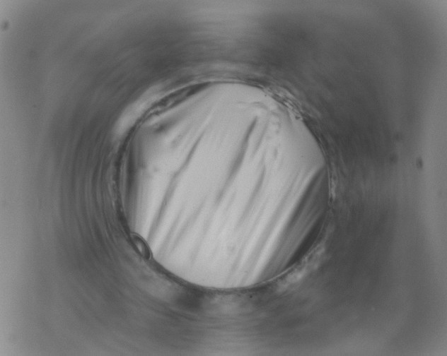 X0000073910341200609082218
