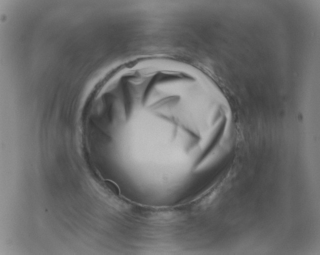 X0000073910342200609082218