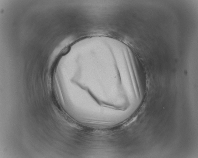 X0000073910343200609082218