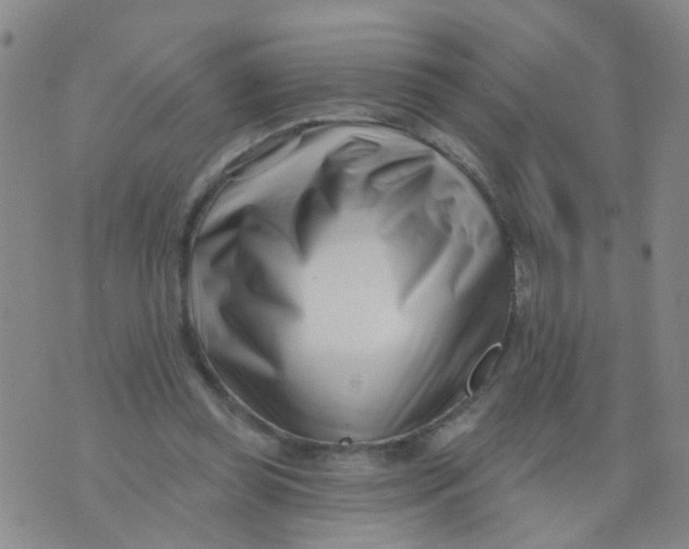 X0000073910349200609082218