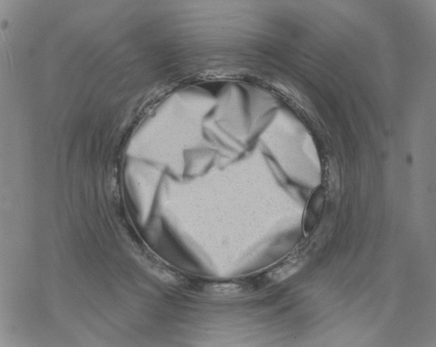 X0000073910361200609082218