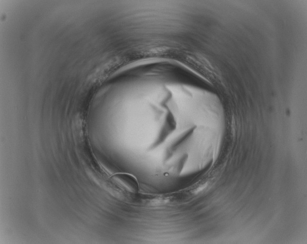 X0000073910366200609082219
