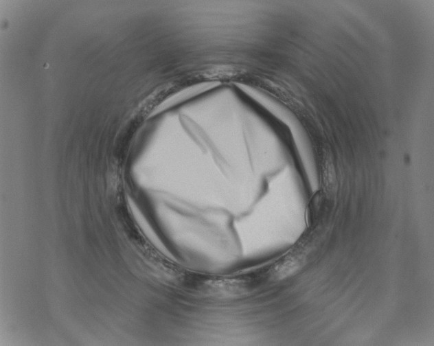 X0000073910367200609082219
