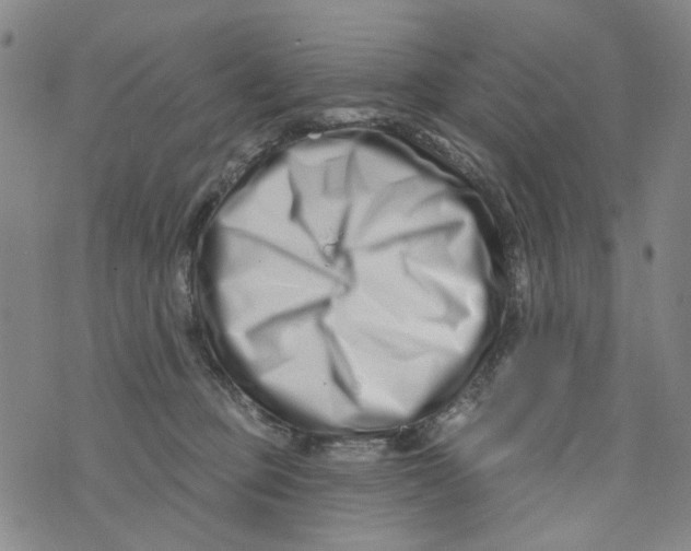X0000073910373200609082219