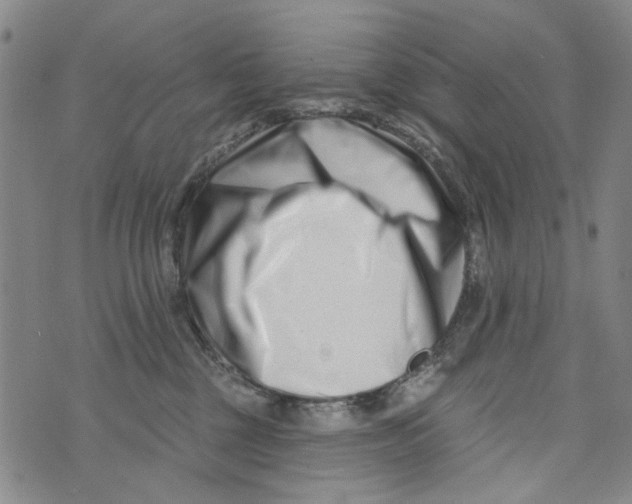 X0000073910377200609082219