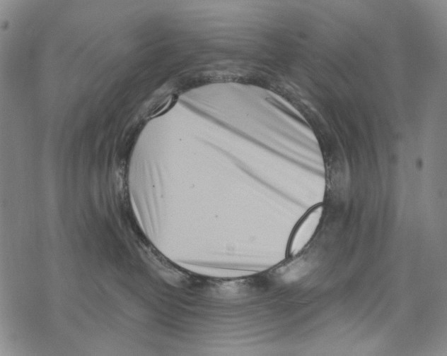 X0000073910382200609082219